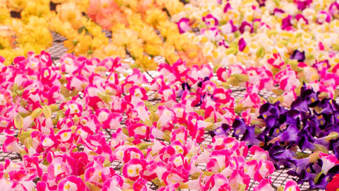 This image features a vibrant set of edible flowers—fresh, healthy, and available at Joel’s Place.