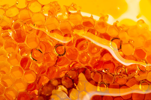 A close up of a honeycomb covered by oozing honey
